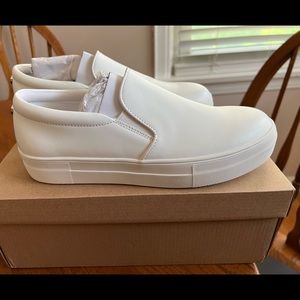 Steve Madden Women’s Gills Sneaker